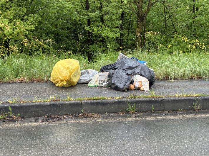 Rifiuti abbandonati