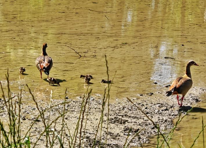 Lieto evento al Parco Ducale