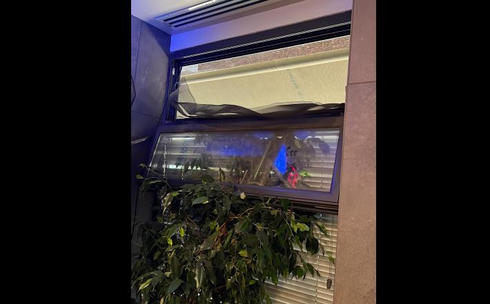 Svaligiata nella notte la macelleria equina Ferraroni (via Montanara): la rabbia social