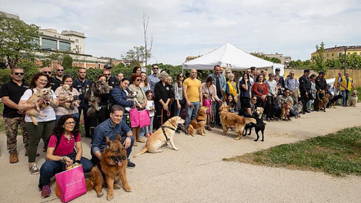Grande partecipazione. La carica dei cento scodinzolanti e felici in passerella
