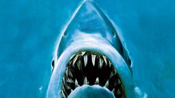 Nuotatore  per 12 giorni tra gli squali per i 50 anni del film