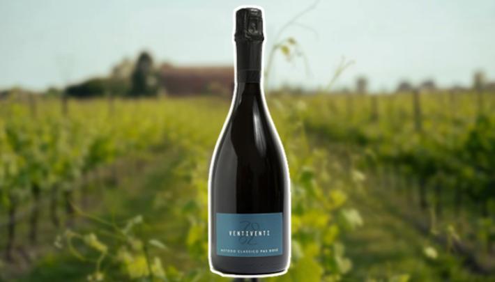 Bollicina raffinata,  cremosa e fruttata,  vera freschezza