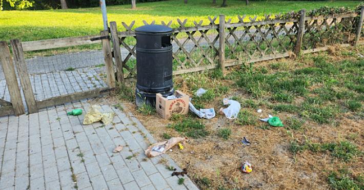 L'area cani dietro il Lidl di via Venezia 