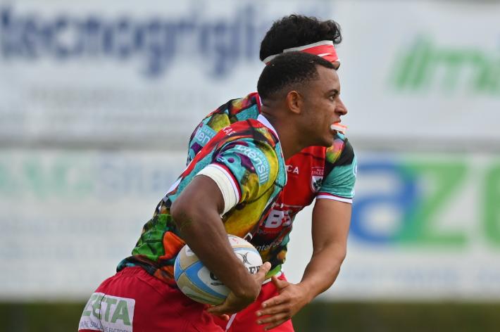 Alle Zebre Albert Einstein Batista