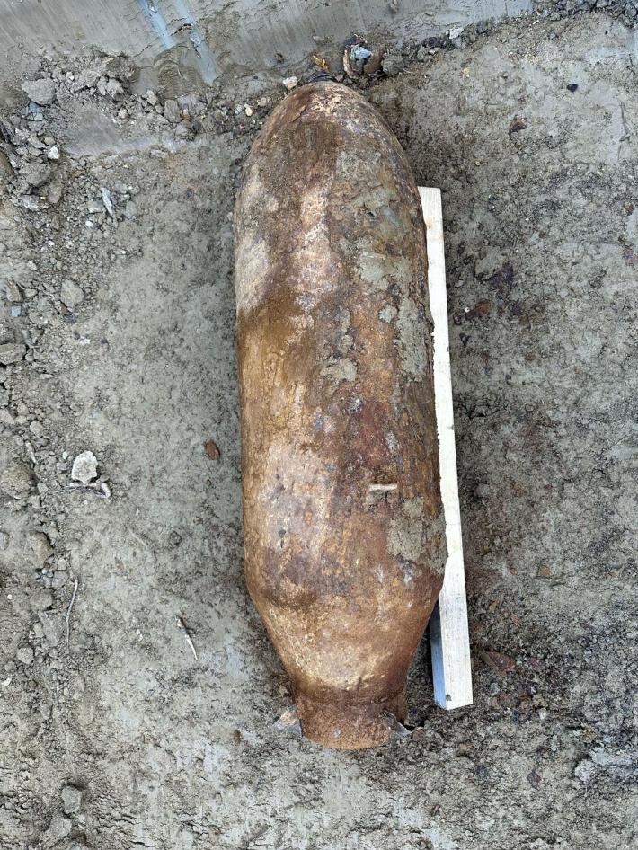 Disinnesco bombe, il 15 giugno l'evacuazione: le indicazioni pergli animali di affezione