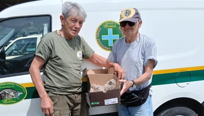 Gheppi salvati a Zibello