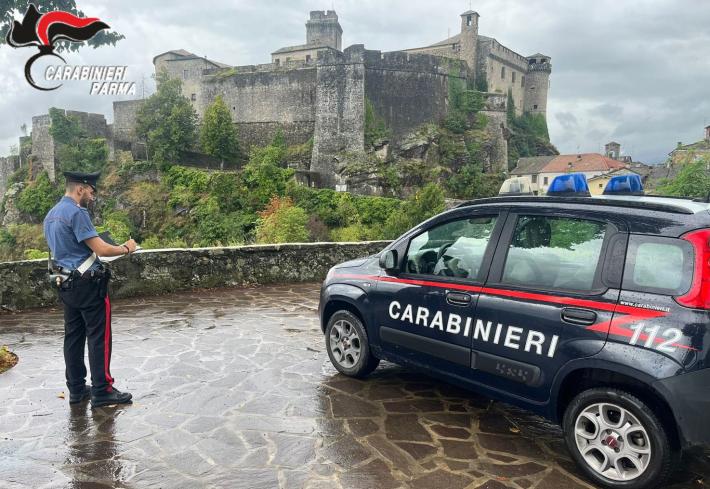 Bardi: deve assicurare il trattore ma viene truffato online. La polizza non arriva e spariscono 120 euro. Denunciata 27enne italiana