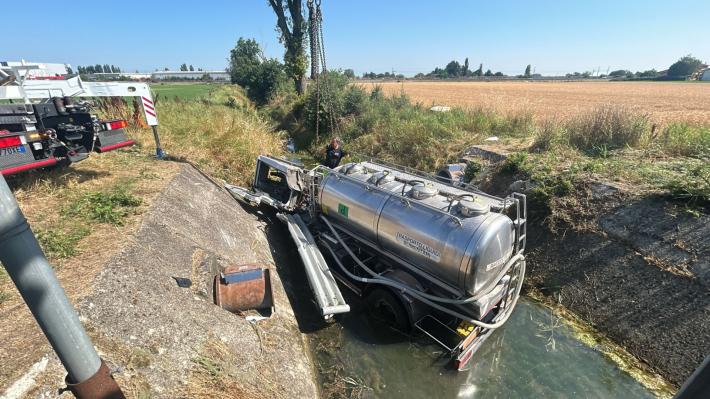 Paura per una persona morsicata da una vipera: elicottero del 118 a Pessola