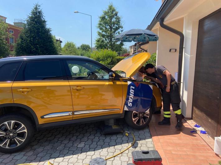 Sorbolo, gatto incastrato nel cofano di un'auto: vigili del fuoco e veterinari in azione per salvarlo