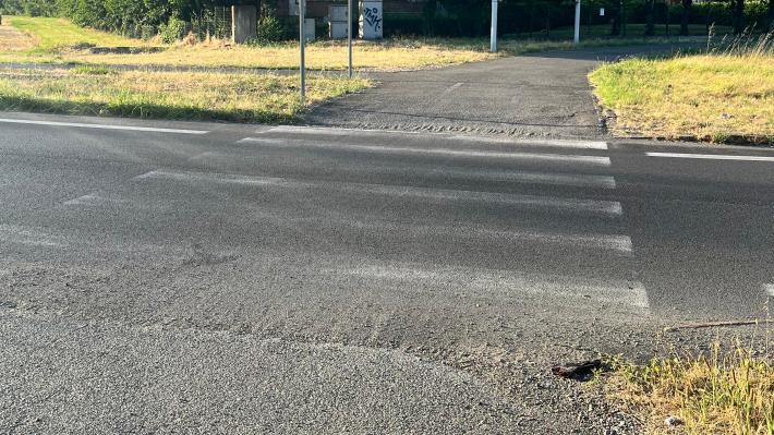 Rotonda del Campus, la segnalazione: "Le strisce pedonali? Ormai invisibili"