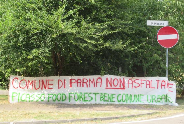 Via Picasso &laquo;protesta&raquo;: &laquo;Caro Comune, non asfaltare la nostra foresta del cibo&raquo;