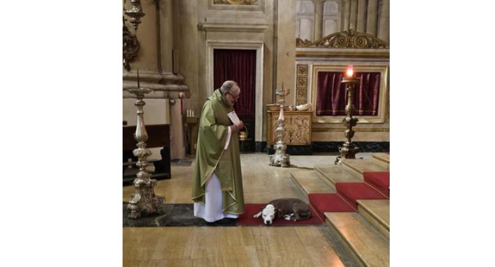 E durante la messa spunta Adam, l'amico a quattro zampe di don Cocconi