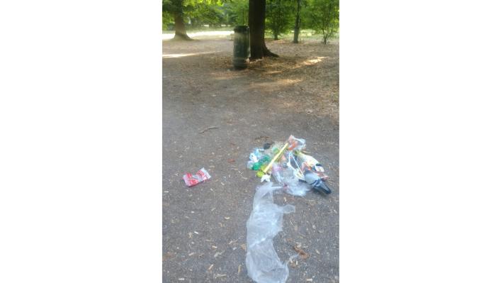 Rifiuti parco Ducale