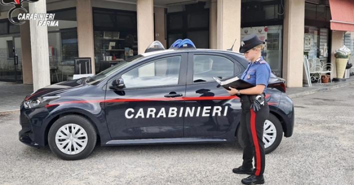 Lei fa da palo fuori dal locale spingendo un passeggino vuoto per non dare nell&rsquo;occhio, lui si arrampica sopra la porta e entra rompendo una vetrata, arraffando velocemente il fondocassa prima di scap