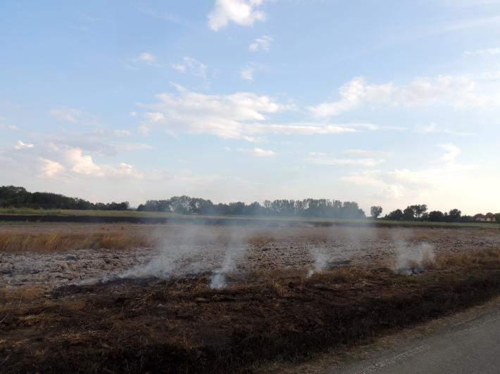 Pieveottoville, incendio in un campo incolto: vigili del fuoco in azione