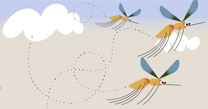 Spuntiamola, come difendersi da zanzare e altri insetti