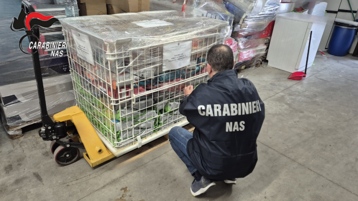 Sequestri e sanzioni in un esercizio della bassa parmense