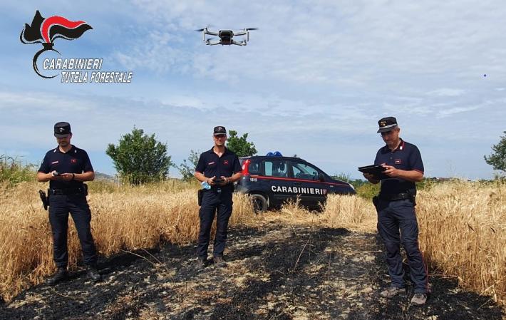 Individuato il presunto responsabile di un incendio boschivo colposo. Rischio di sanzioni per abbruciamenti di residui vegetali effettuati senza le necessarie comunicazioni