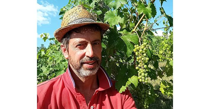 Bossi   &laquo;Addio alle Poste: ho preferito il mio vigneto&raquo;