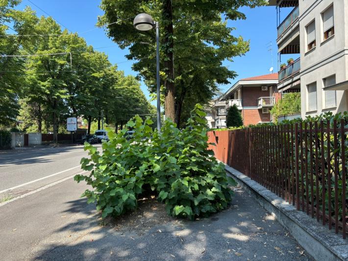 Via Sidoli, per passare sul marciapiede "serve Tarzan"