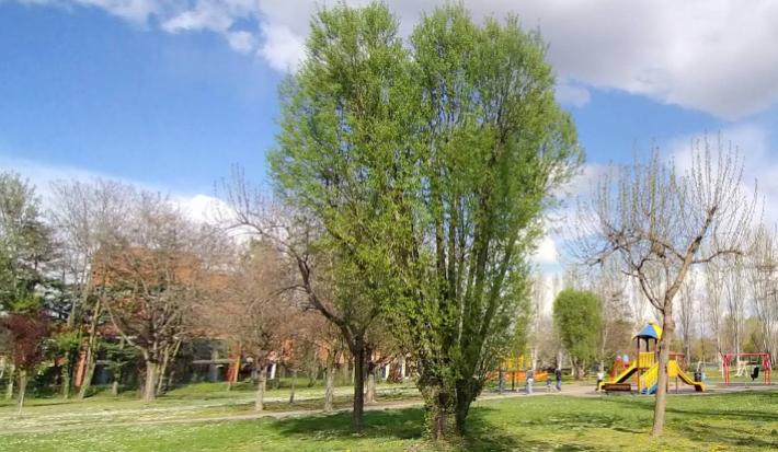 Parco Falcone e Borsellino, la droga &egrave; nascosta nella siepe