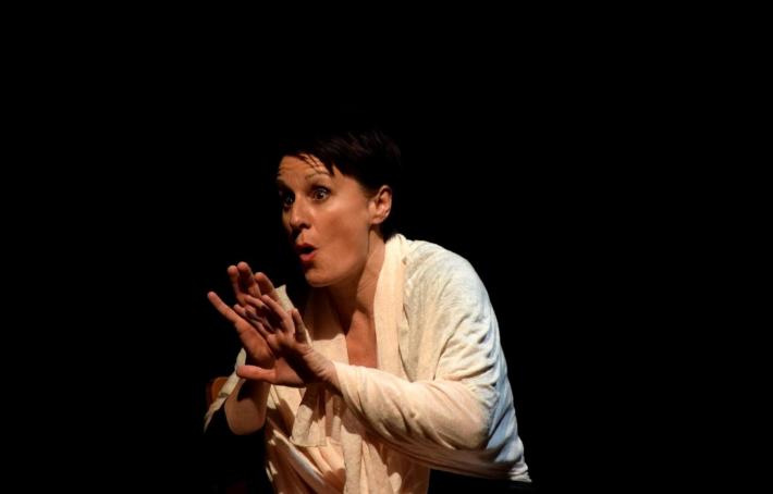 Spettacoli a Villa Lanfranchi