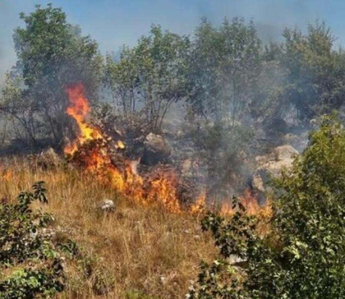 I volontari parmigiani a Boscotrecase &laquo;Noi, sul Vesuvio nell'ultima battaglia con il grande rogo&raquo;