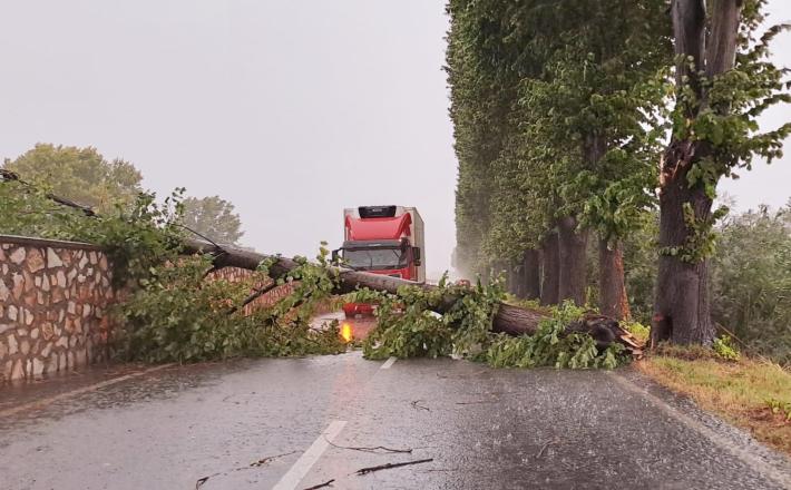 Pioggia e temperature pi&ugrave; moderate nel Parmense, resta l'allerta gialla 