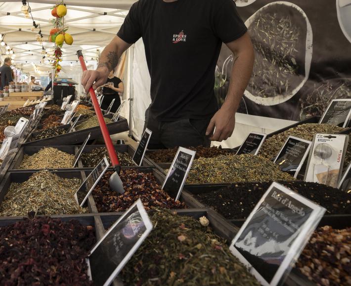 Modifica alla viabilit&agrave; in Via Verdi e Via Magnani per manifestazione denominata &ldquo;Mostra mercato regioni d&rsquo;Europa&rdquo;