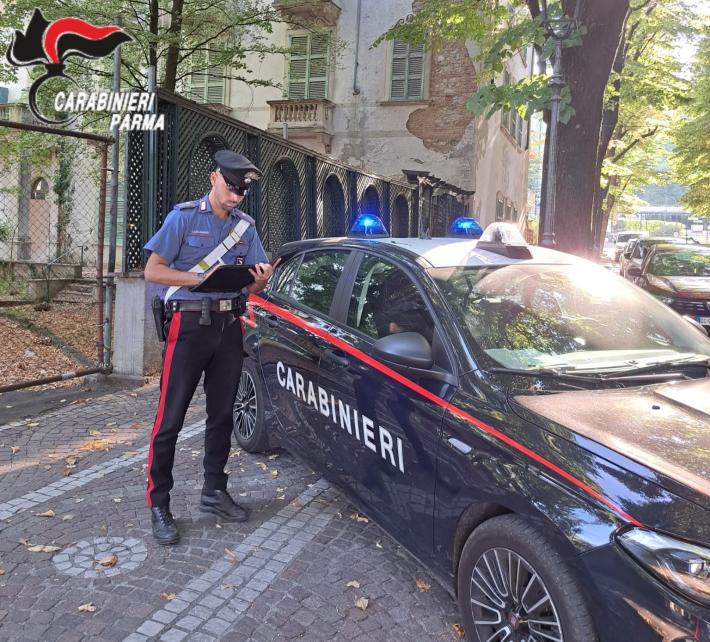 Prima lo pedina al parco e poi gli strappa di mano il cellulare. Rincorso dalla vittima la minaccia con un coltello per garantirsi la fuga. Identificato e denunciato 21enne straniero