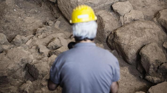 Scoperto un coccodrillo preistorico che divorava i dinosauri