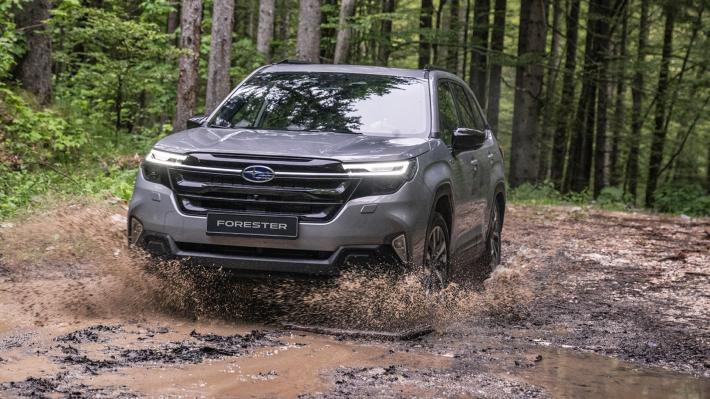 Forester, l&rsquo;alternativo. Da Subaru un Suv che sposa l&rsquo;ibrido, ma resta originale