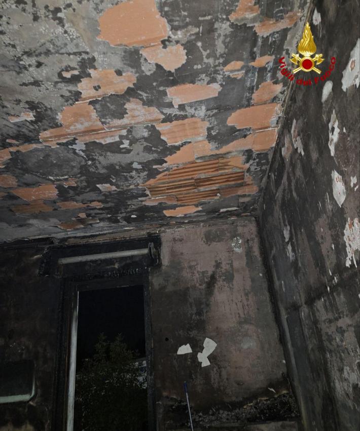 Crolla un albero in strada, intervento dei vigili del fuoco a Fidenza 