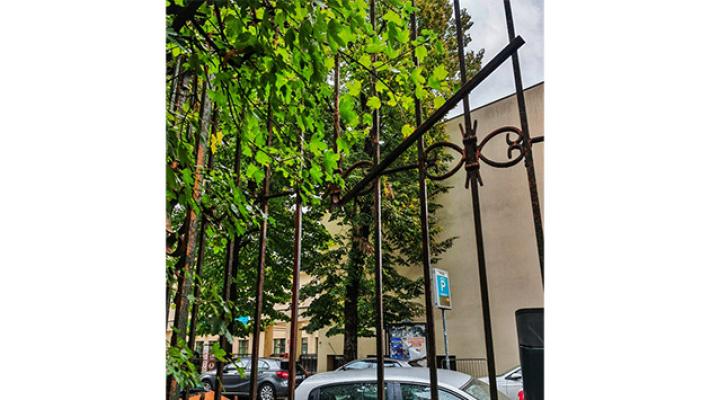 Vandalismo al Parco Ducale