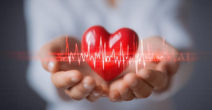 Arterie al microscopio: l'ecg &laquo;modificato&raquo; che intercetta le placche coronariche