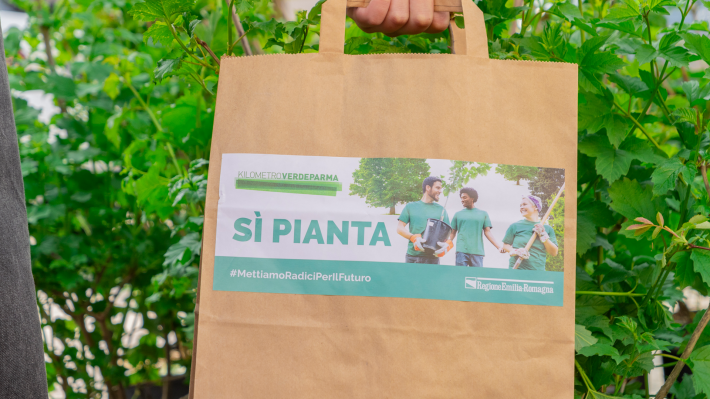 KilometroVerdeParma torna in piazza con piante gratis e lezione sulle api