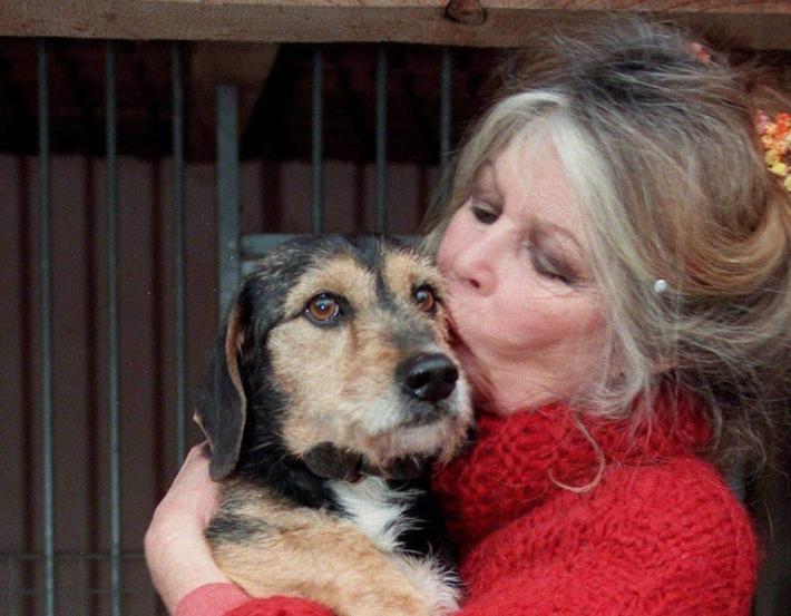 Brigitte Bardot all'ospedale da tre settimane: "Condizioni preoccupanti"