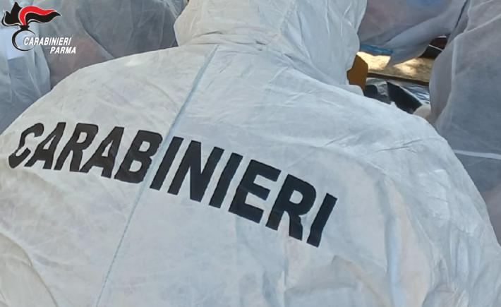 Fontevivo: era stato sorpreso a rubare in casa di una coppia e li aveva aggrediti con schiaffi e morsi per riuscire a scappare. 44enne dell&rsquo;est europa denunciato per rapina identificato grazie al d.n.