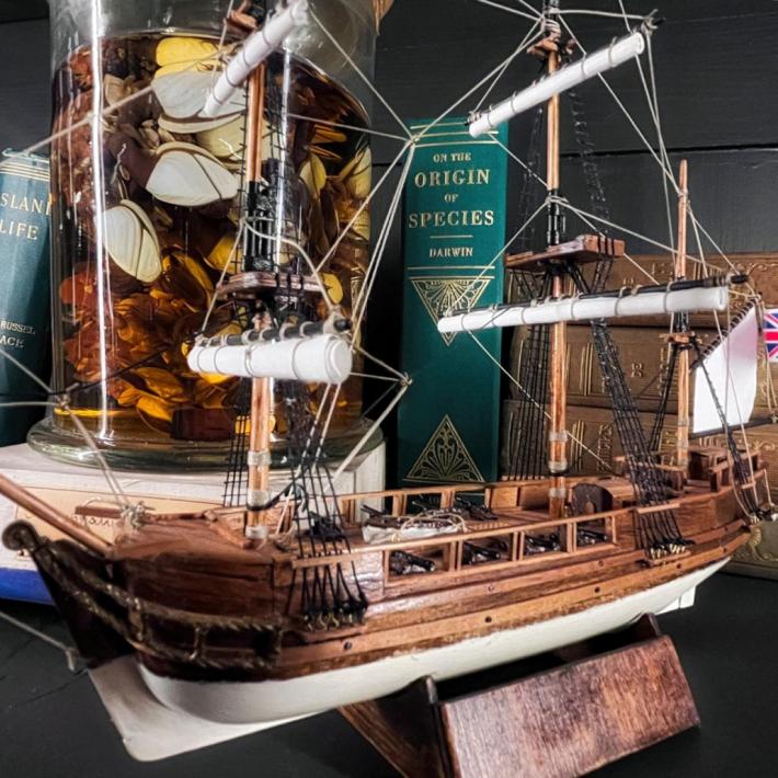 A Parma il primo Museo di Storiografia naturalistica in Italia