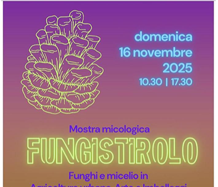 "Fungistirolo", oggi la mostra micologica in parco Bizzozzero