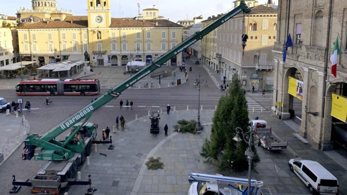 L'albero di Natale &egrave; arrivato in Piazza Garibaldi