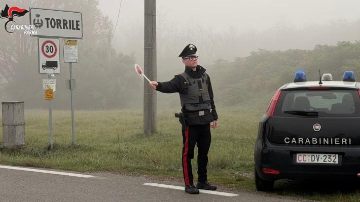 Torrile: a seguito della conferma della cassazione i carabinieri arrestano 50enne condannato alla pena di 3 anni 6 mesi e 20 giorni. 