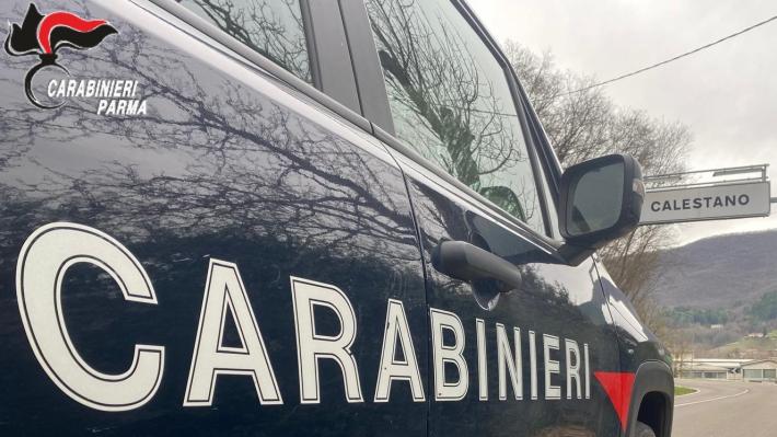 Calestano: prenota per un fine settimana da trascorre in compagnia della figlia ma &egrave; una truffa. Denunciata 40enne straniera e 44enne italiano.  