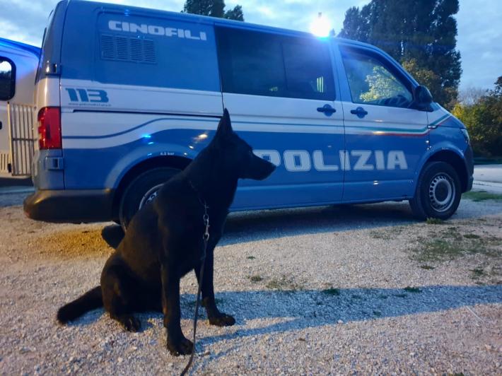 Sicurezza urbana: resoconto dei controlli ordinari e straordinari della settimana