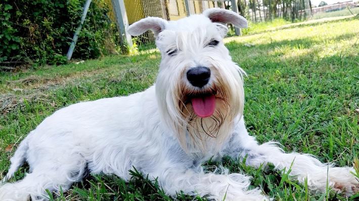 Blanca, dalle gare di bellezza all'adozione di una famiglia