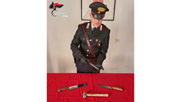 Parma: controlli straordinari del territorio. Denunce, armi da taglio sequestrate, allontanamenti e segnalazioni per uso di stupefacenti.