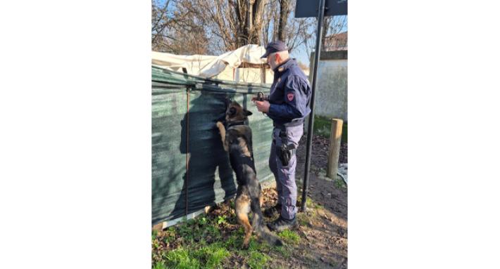 Operazione Parma Sicura - Attivit&agrave; svolta dal 15 al 23 gennaio