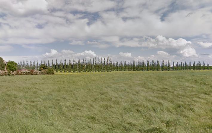 Si schianta col parapendio nel cortile della sede di Max Mara, ricoverato in gravi condizioni al Maggiore