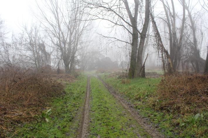 Cadavere trovato nella golena del Po: avanza l'ipotesi di un gesto estremo 