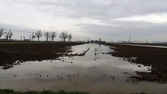 Nuovi allagamenti e torrenti ingrossati nella bassa